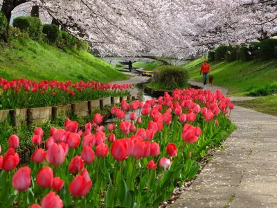 江川せせらぎ緑道
