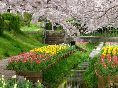 江川せせらぎ緑道
