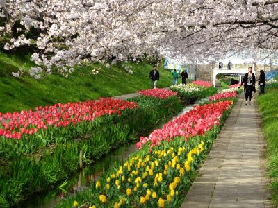 江川せせらぎ緑道
