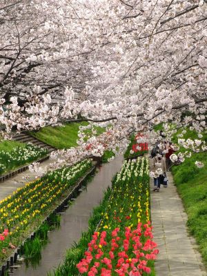 江川せせらぎ緑道
