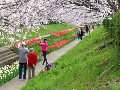 江川せせらぎ緑道
