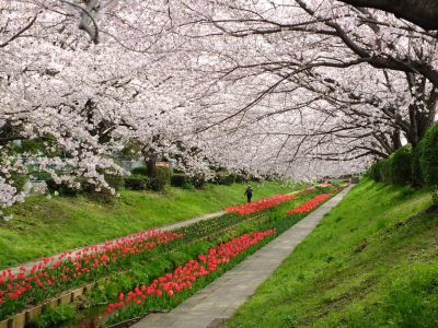 江川せせらぎ緑道
