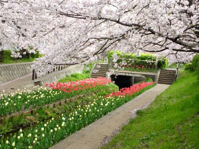 江川せせらぎ緑道
