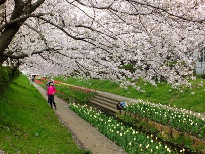 江川せせらぎ緑道
