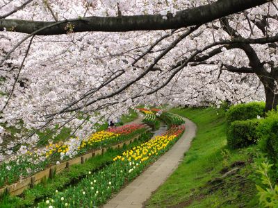 江川せせらぎ緑道
