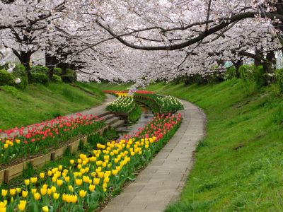 江川せせらぎ緑道
