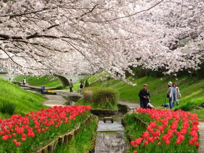 江川せせらぎ緑道
