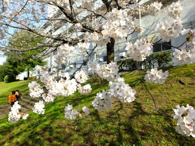 都筑江川せせらぎ緑道
