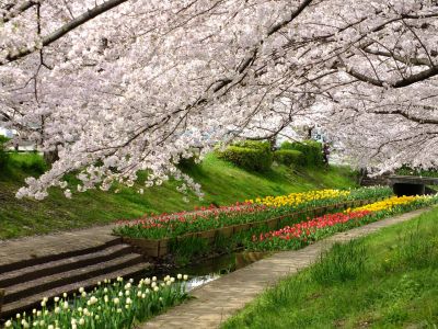 江川せせらぎ緑道
