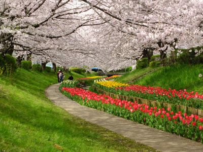江川せせらぎ緑道
