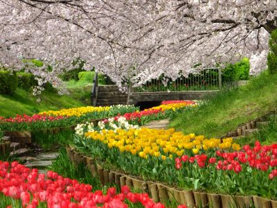 江川せせらぎ緑道
