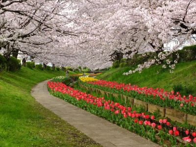 江川せせらぎ緑道
