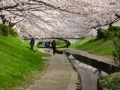 江川せせらぎ緑道
