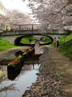 江川せせらぎ緑道
