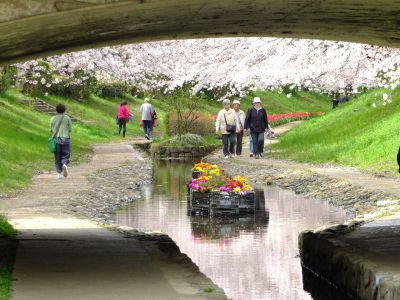 江川せせらぎ緑道
