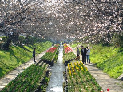 都筑江川せせらぎ緑道
