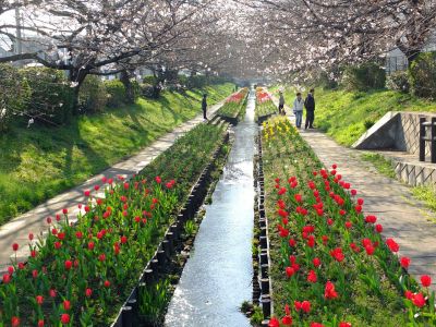 都筑江川せせらぎ緑道

