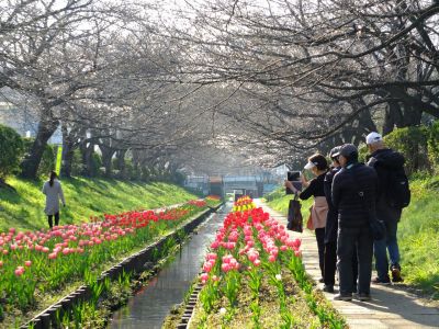 都筑江川せせらぎ緑道
