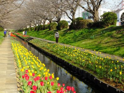 都筑江川せせらぎ緑道
