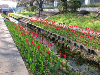 都筑江川せせらぎ緑道

