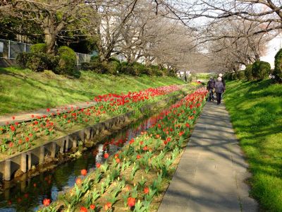 都筑江川せせらぎ緑道
