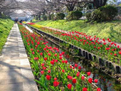 都筑江川せせらぎ緑道
