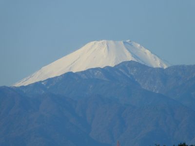 川和市民の森より
