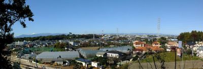 川和市民の森より
