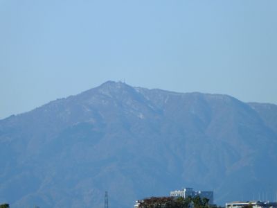 川和市民の森より（大山）
