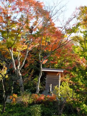 中山恒三郎家（書院）
