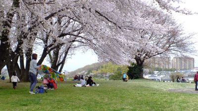 中川八幡山公園
