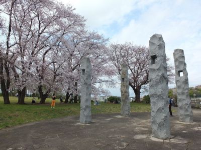 染井吉野（八幡山公園）
