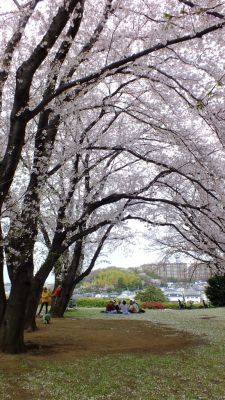 中川八幡山公園

