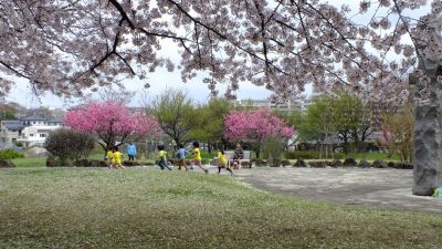 中川八幡山公園
