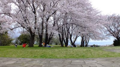 中川八幡山公園
