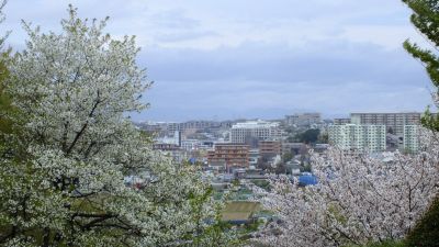 中川八幡山公園
