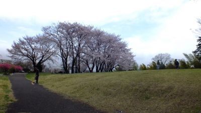 中川八幡山公園
