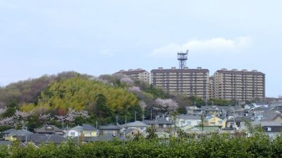 中川八幡山公園
