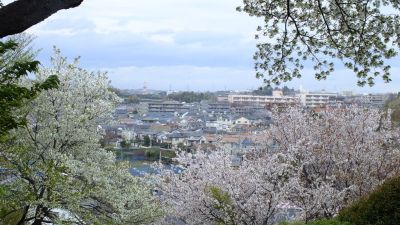 中川八幡山公園
