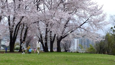 中川八幡山公園
