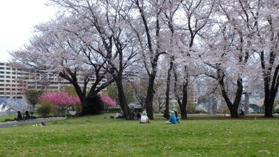 中川八幡山公園
