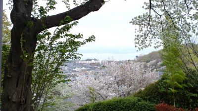 中川八幡山公園
