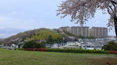 中川八幡山公園
