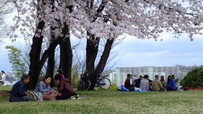中川八幡山公園
