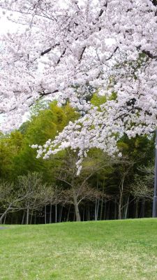 中川八幡山公園
