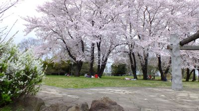 中川八幡山公園
