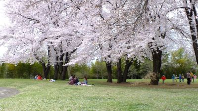 中川八幡山公園
