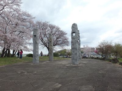 染井吉野（八幡山公園）

