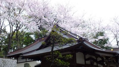 杉山神社（茅ヶ崎）
