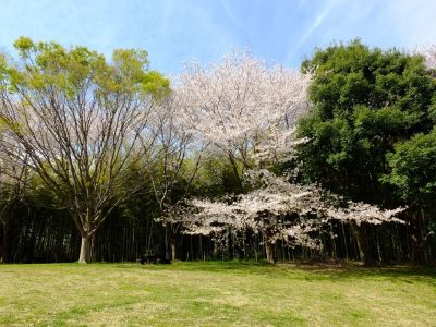 大塚・歳勝土遺跡公園
